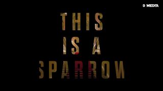 Jennifer Lawrence, is a Sparrow