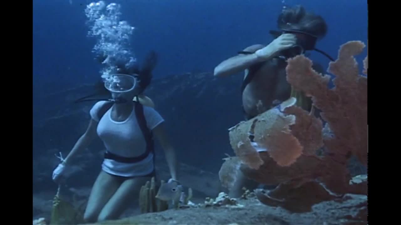 Nude Scenes: Jacqueline Bisset diving in The Deep - GIF Video |  nudecelebgifs.com